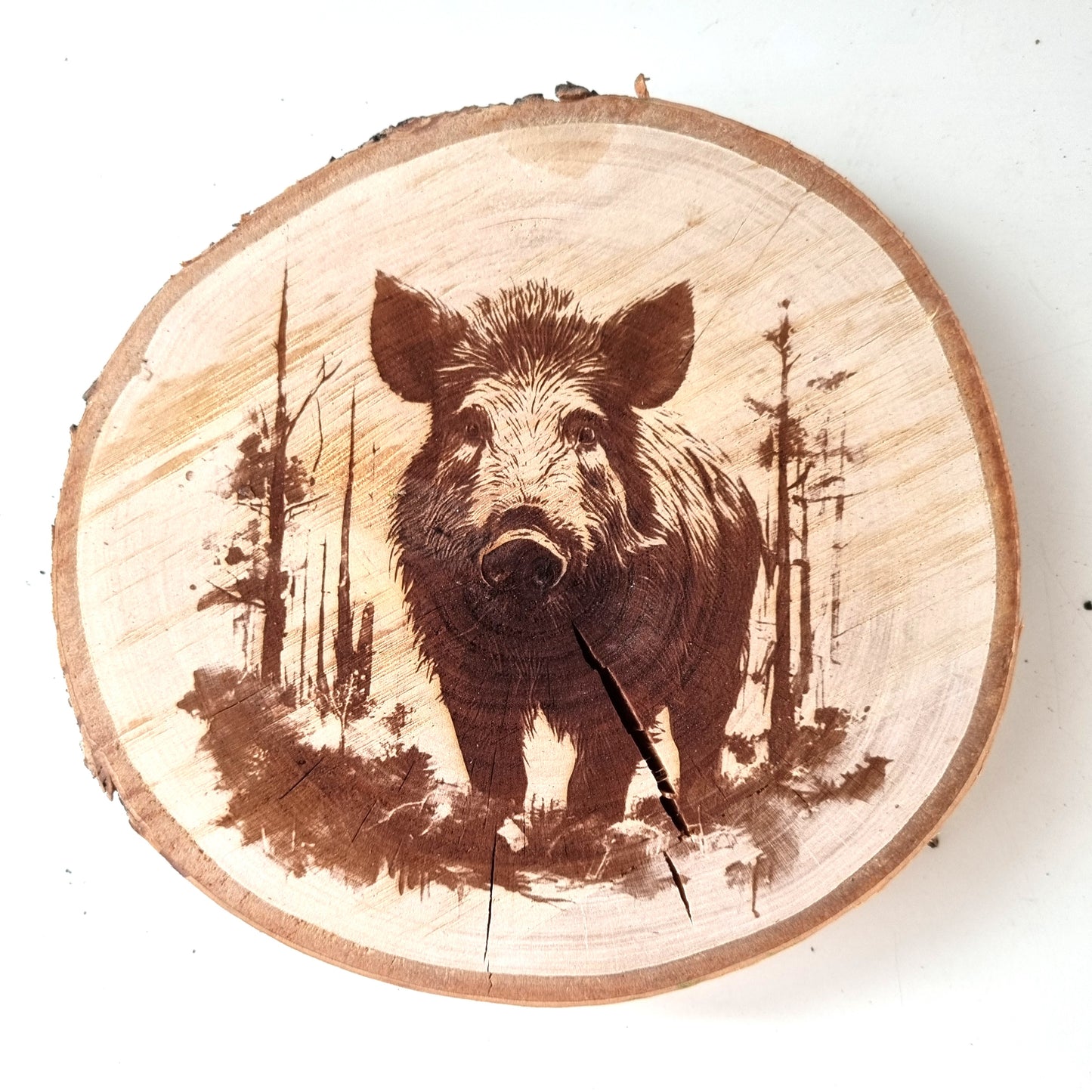 Rustikale Baumscheibe graviert mit Wildschwein-Motiv
