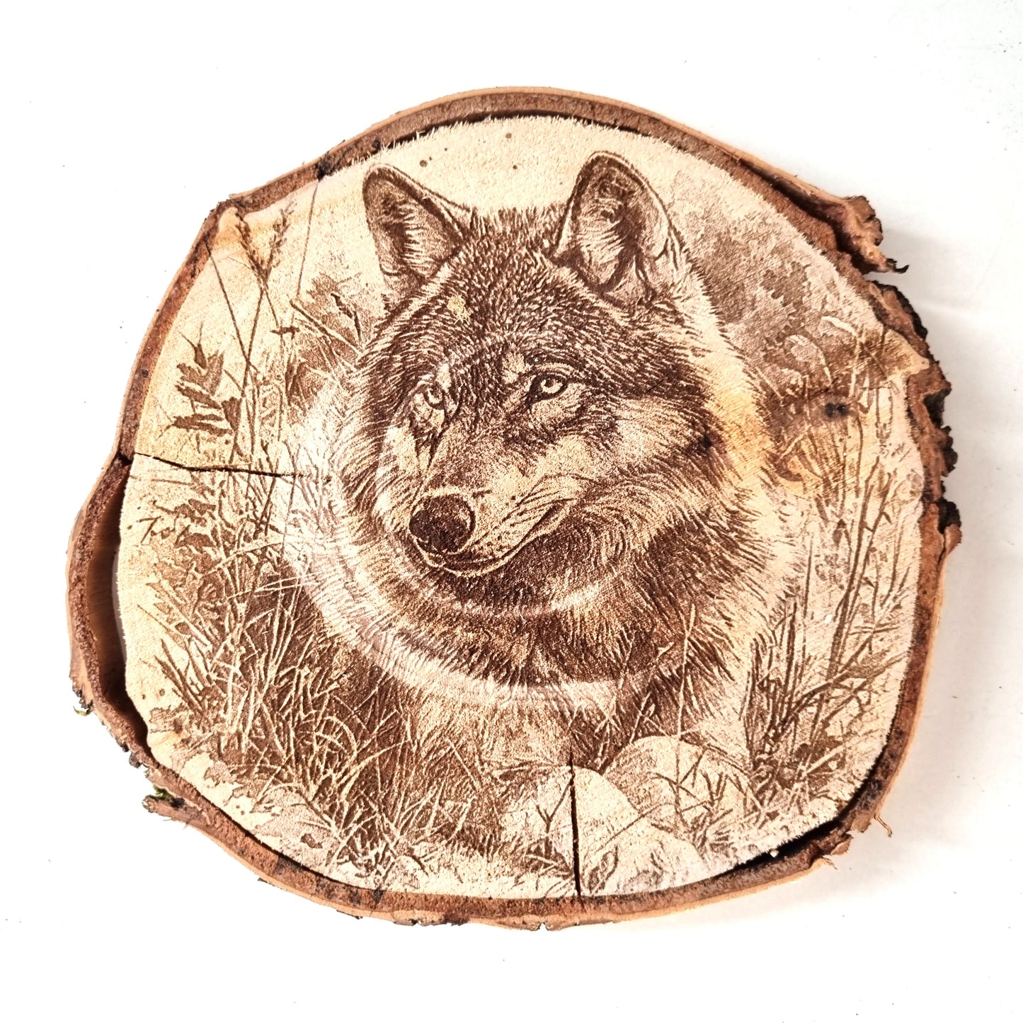 Rustikale Baumscheibe graviert mit Wolf-Motiv