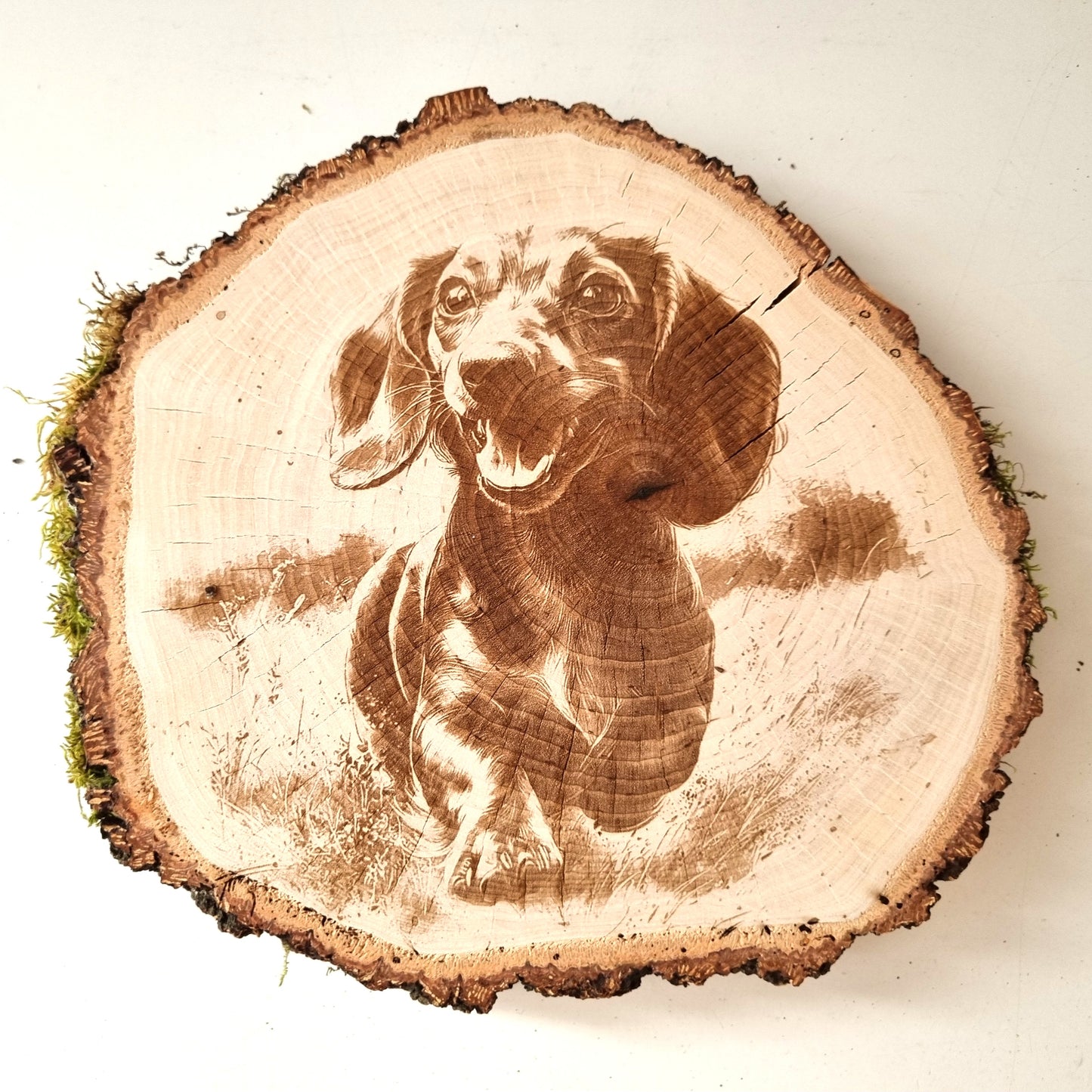 Rustikale Baumscheibe graviert mit Hunde-Motiv