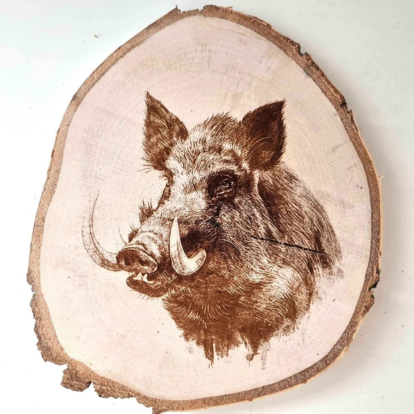 Rustikale Baumscheibe graviert mit Wildschwein-Motiv